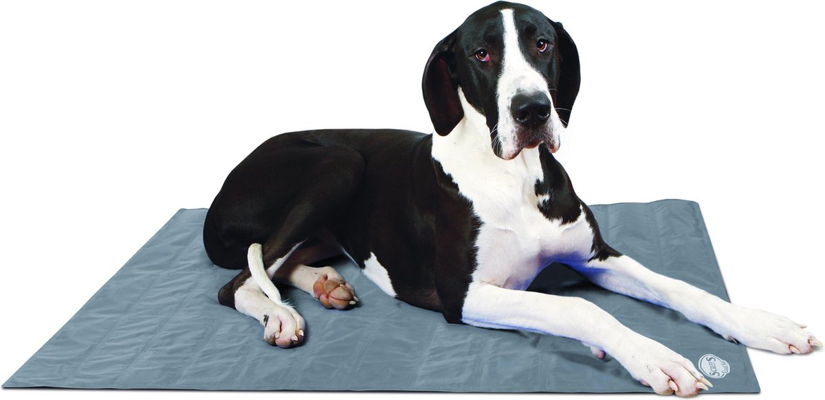 Scruffs Koelmat Hond - Grijs - XL: 120 x 75 cm