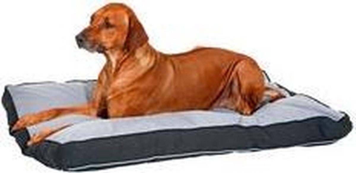 Doc Bed Hondenkussen - 60 x 40 x 8 cm