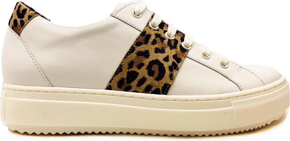 Witte Verhulst Veterschoenen Wijdte K Taupe Combi