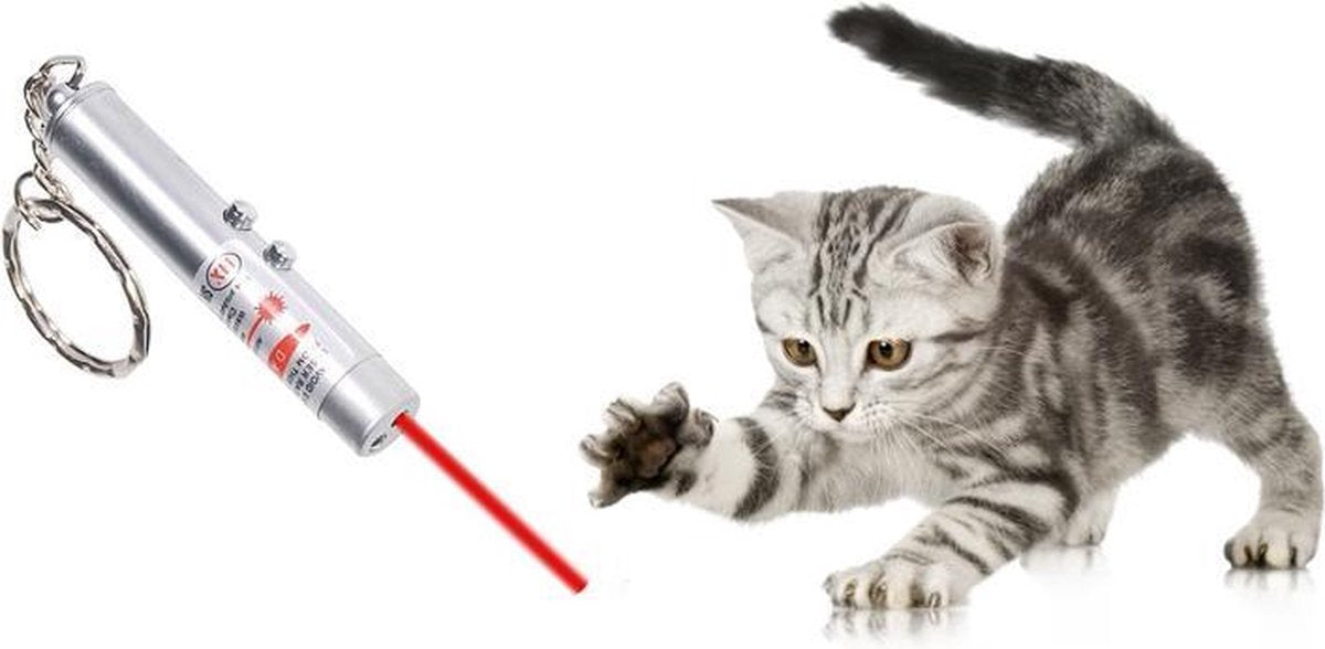 Dolphix Laserpen Sleutelhanger - Kattenspeelgoed - Rood