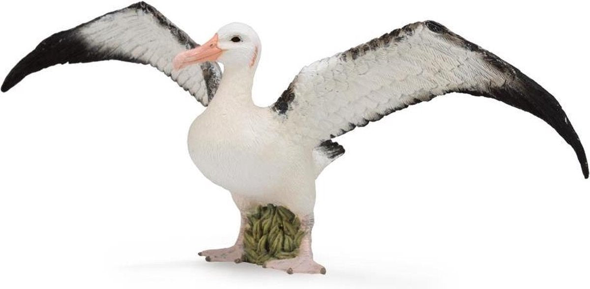 Collecta Albatros 3