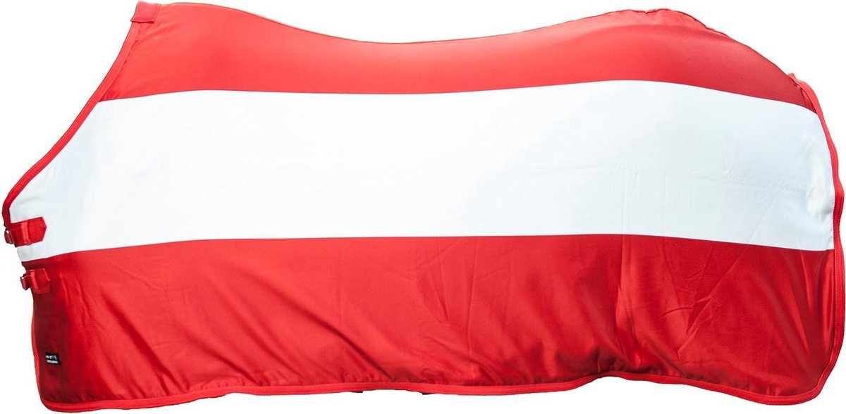 Cooler -Flags-