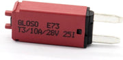 Automatische auto steekzekering 10A Mini Zekering