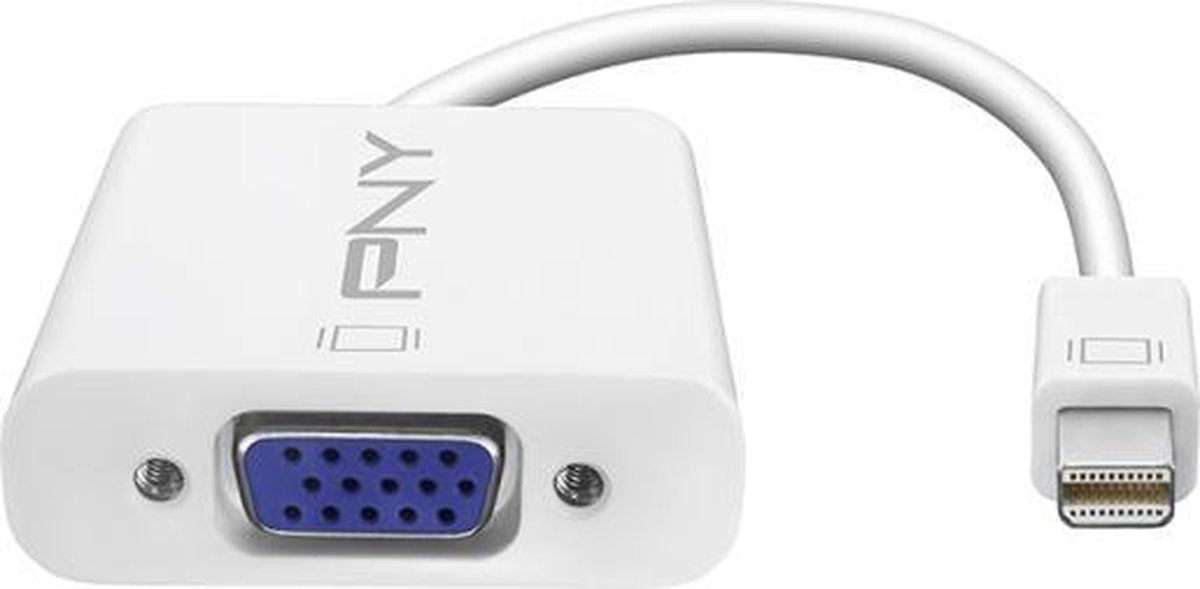 PNY DisplayPort - VGA m/f Mini DisplayPort Wit