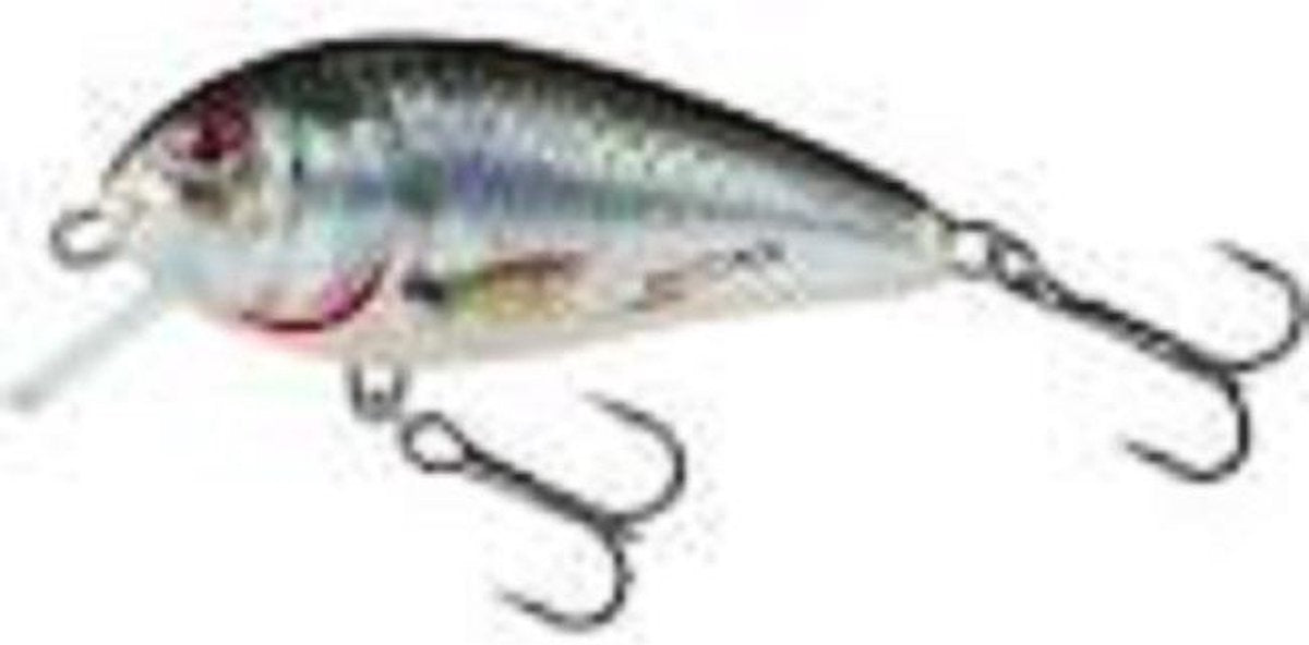 BR5F Holographic Real Dace