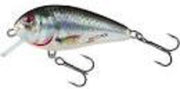 BR5F Holographic Real Dace