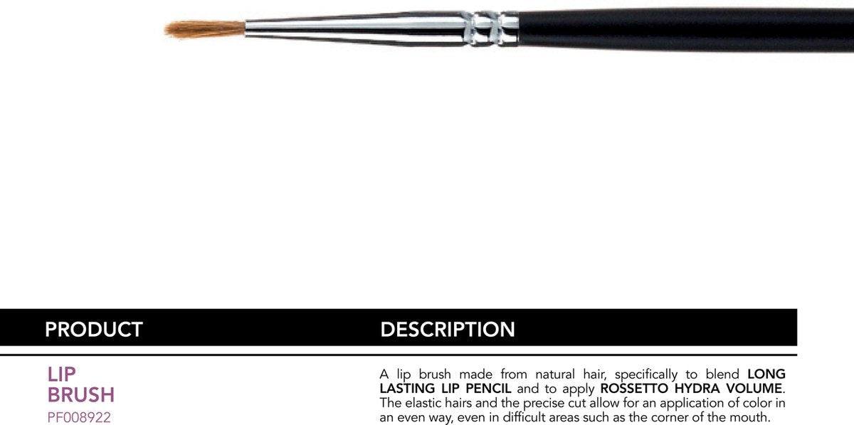 LIP BRUSH