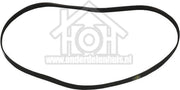AEG Poly-V-snaar 1196 PJE J6 TEM Lavamat 52600 1323531200