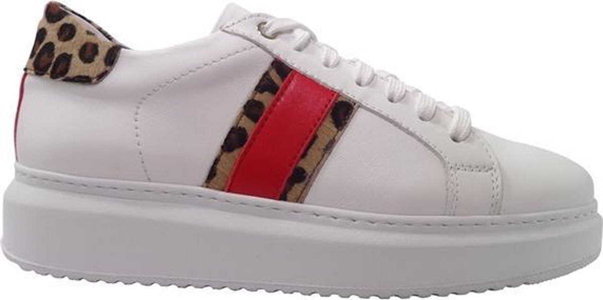 Van Driel Exclusive Sneakers Dordrecht Wit Rood