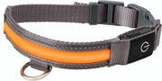Zoofari Hondenhalsband met LED