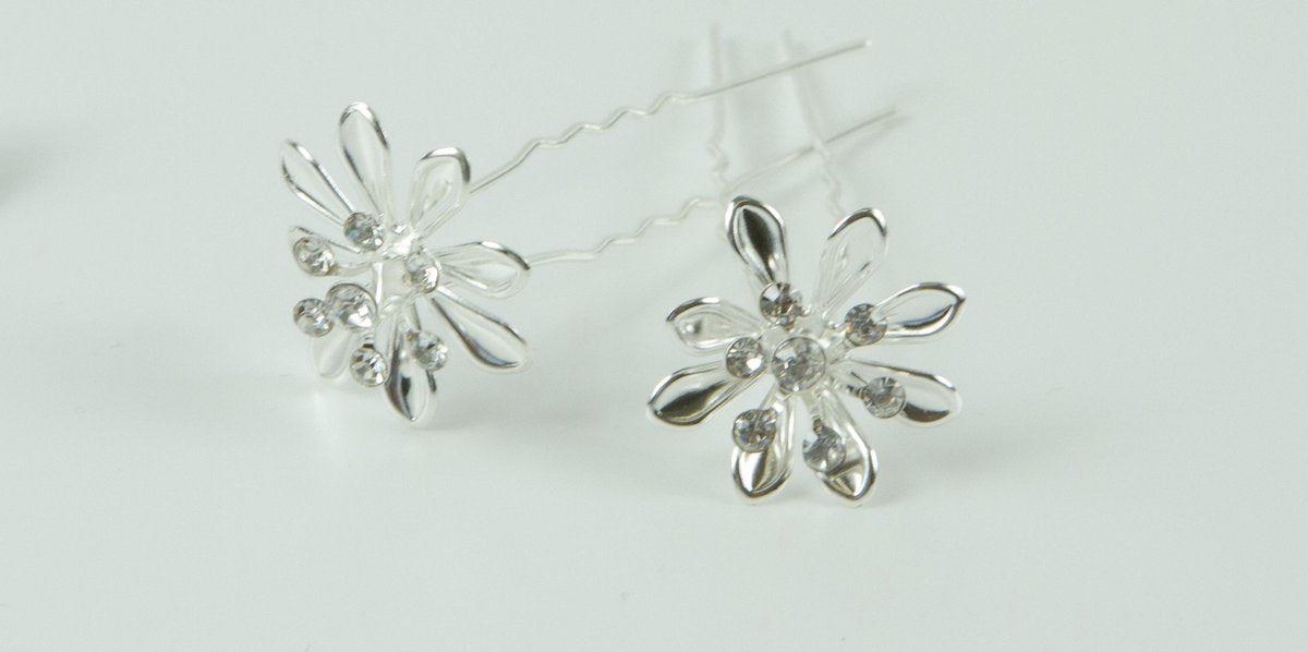 Haarpinnen bloem groot strass points
