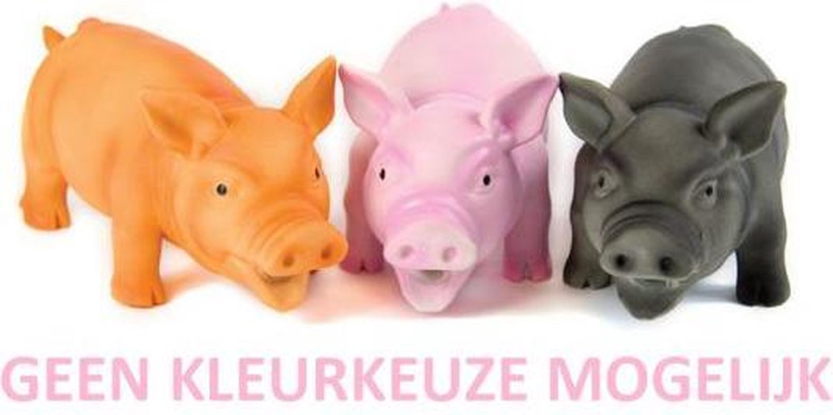 Doggy dolittles piglet latex zwijn assorti 14