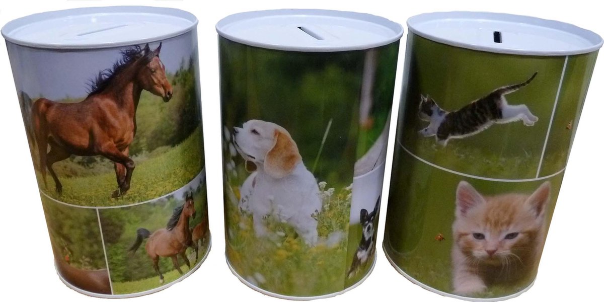 Spaarblik paarden 15x10 cm