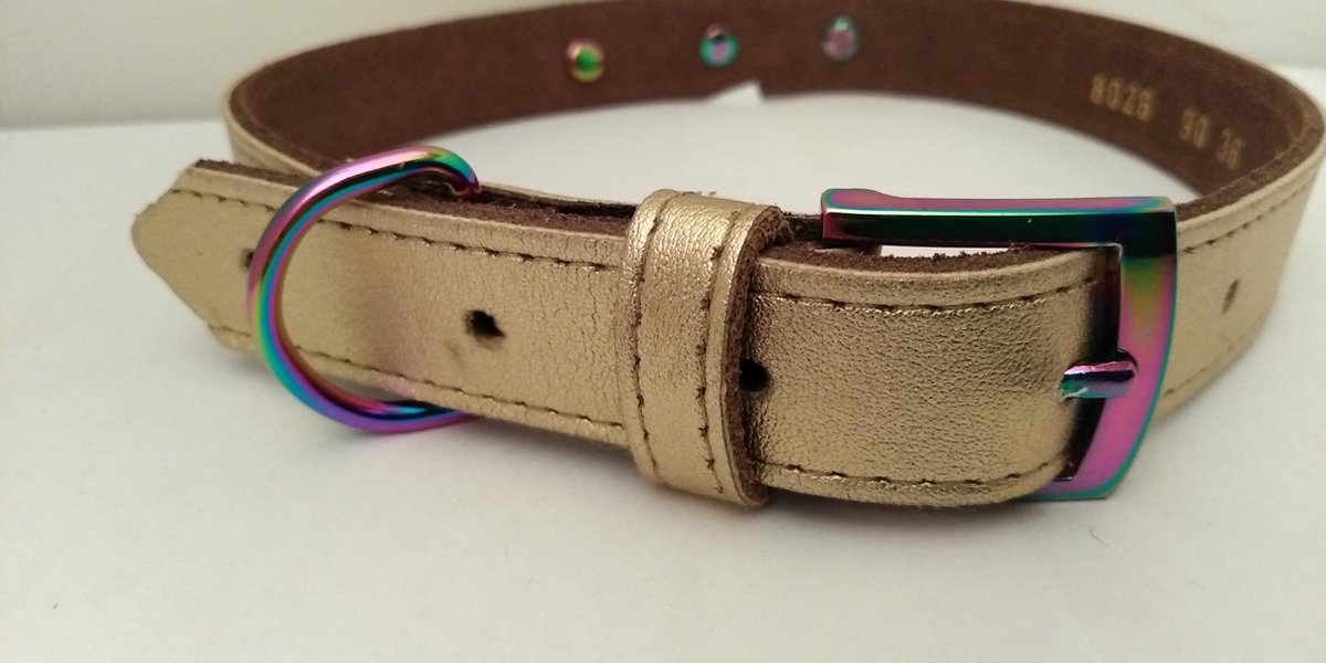 Goudkleurige halsband met fluor gesp