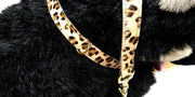 Stoere set van halsband en riem van echt leer