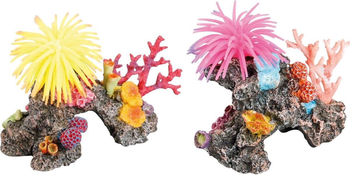 Aquarium decoratie Rif met Anemoon - +/- 14 x 8 x 11 cm