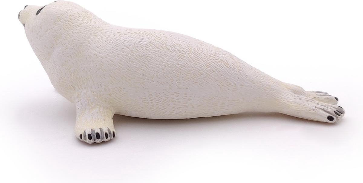 Zeehond baby
