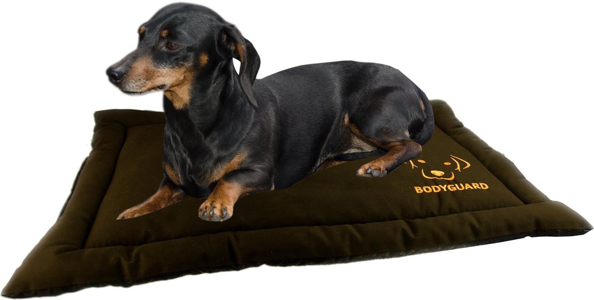 Bodyguard Transport Mat S Brown
