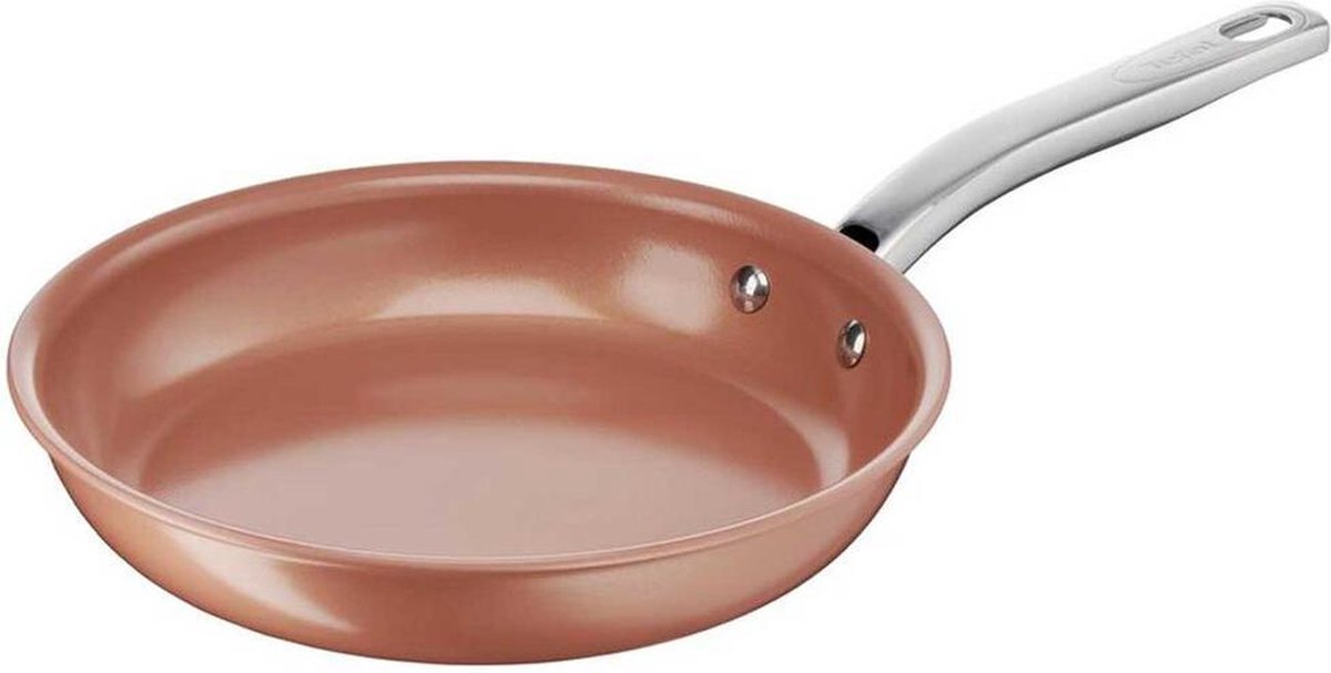 Tefal All in One Koekenpan Voor Gas