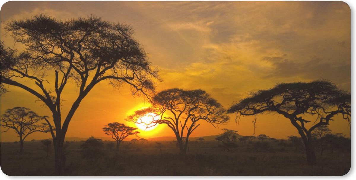 Bureauonderlegger - Zonsondergang in de Serengeti - 60x30 - Muismat