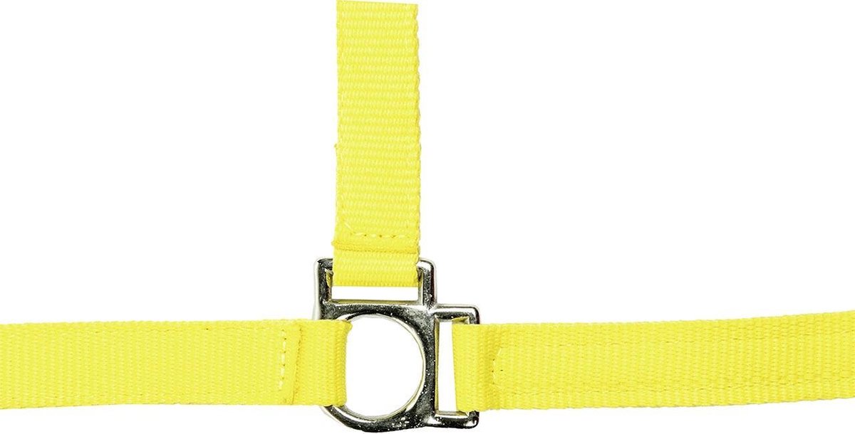 Halster -Stars Softice- neongeel Cob