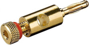 Wentronic BPG R