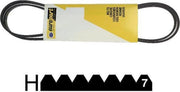 BAUKNECHT - SNAAR POLY-V 2040 H7 -