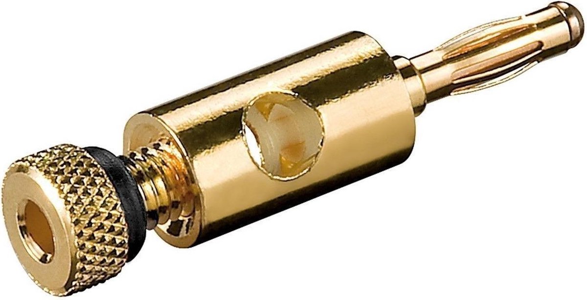 Wentronic BPG B