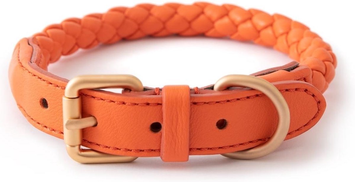 FERDINANDO - S COLLAR TANGERINE ORANGE