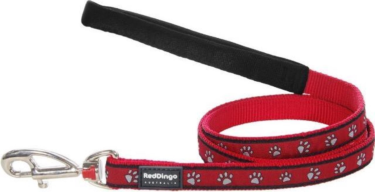 Red Dingo Hondenlijn 25mm 120cm L4-PP-RE-25