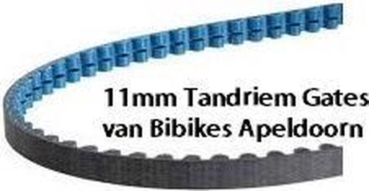CDXB108 Tandriem GatesBeltDrive