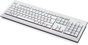 Fujitsu KB521 toetsenbord USB Engels Grijs