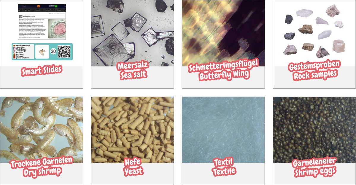 Microscoop Experimenteer Set