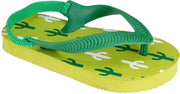 Waimea Peuterslippers - Rio - Groen/Wit - 27