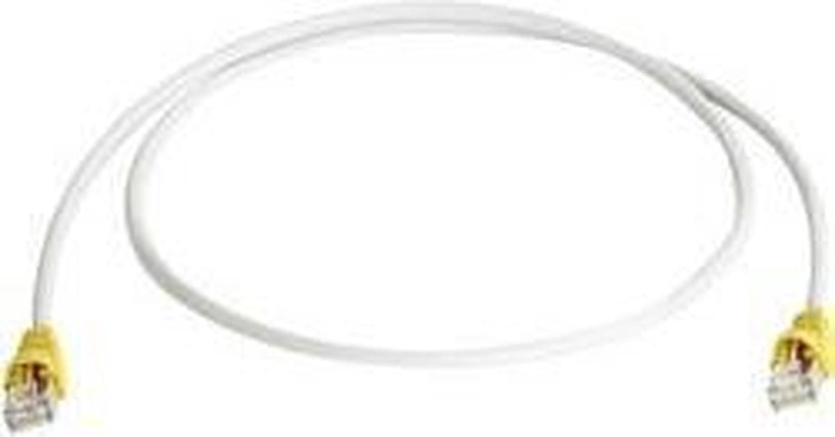 Netwerkkabel RJ45 (cross) CAT 6A S/FTP 3.00 m Grijs Vlambestendig