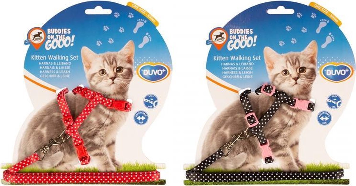 KITTEN WANDELSET WITTE BOLLEN 15-25cm / 8mm-125cm zwart/rood per 2 stuks
