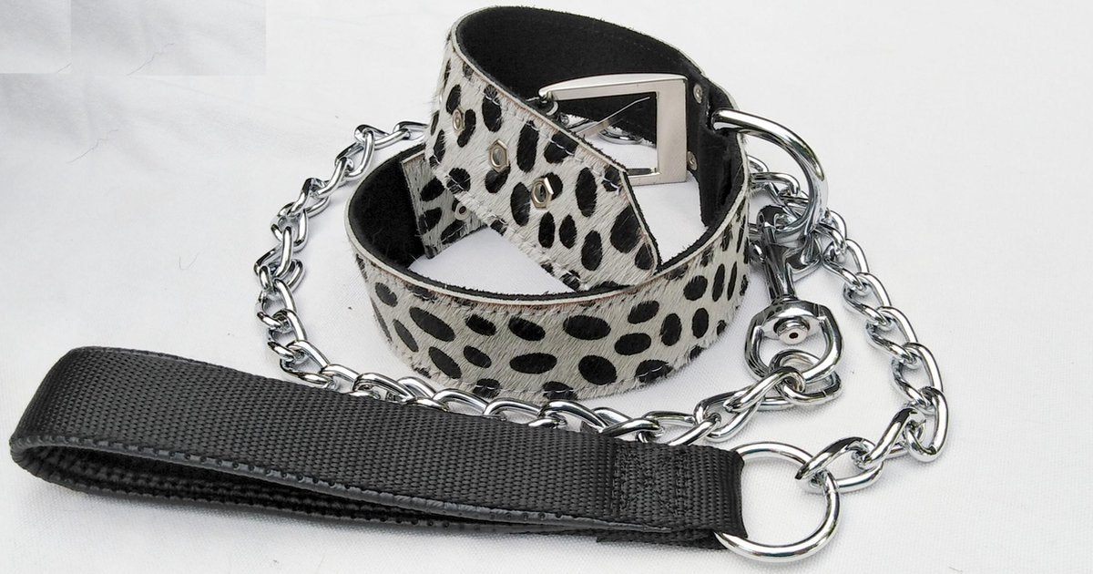 Speciale set van halsband en riem van koeienhuid