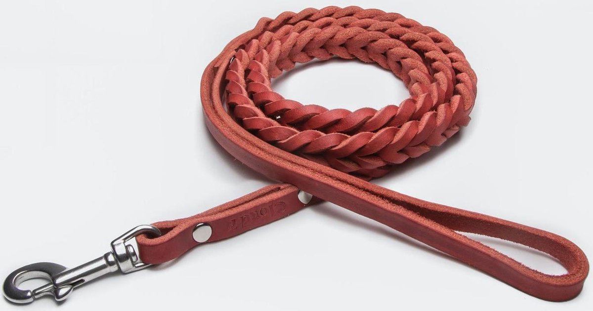 Lederen Riem Central Park Rood (Small)