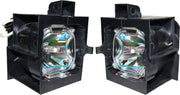 LIESEGANG DV 5000 VARIO PLUS beamerlamp DV 5000 VARIO DUAL LAMP