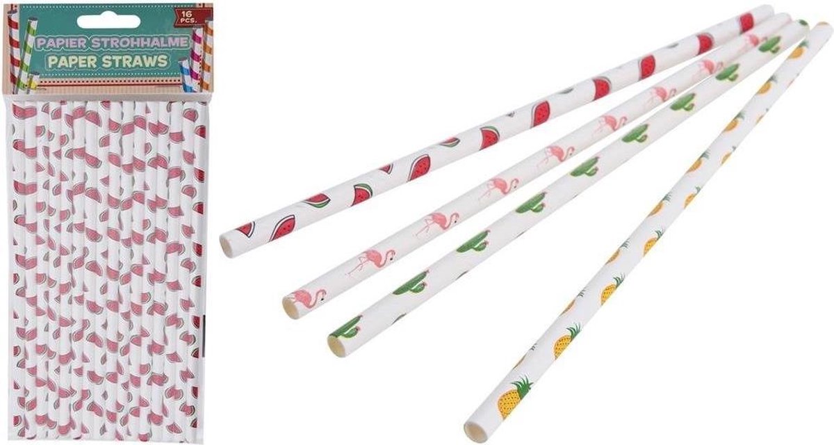 Papieren Rietjes 16 Stuks Assorti