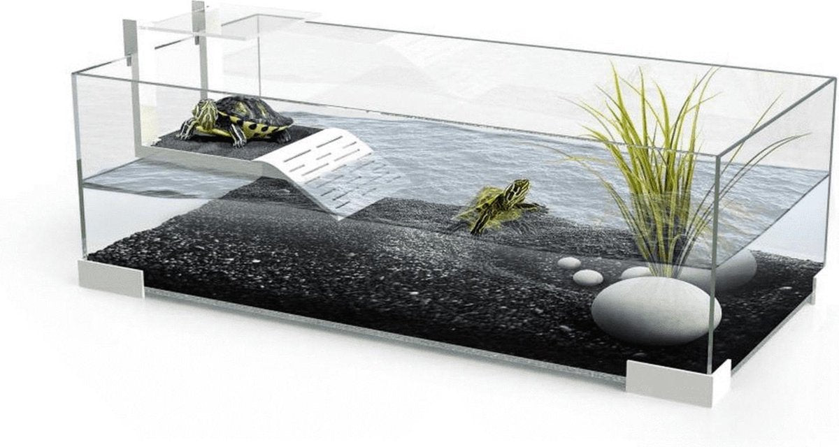 Ciano 60 Tartarium - 60 x 29