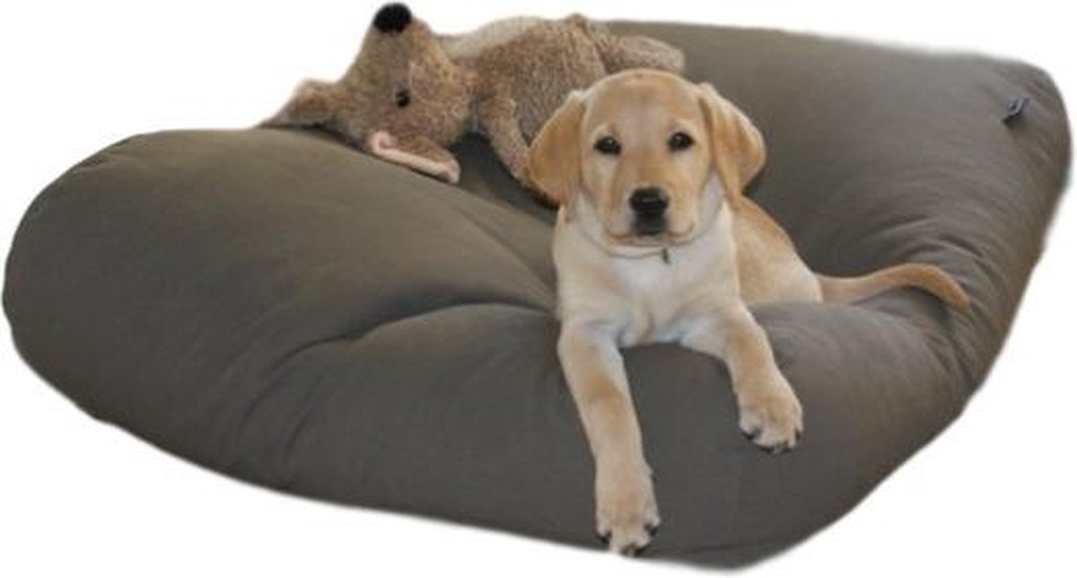 Dog's Companion hondenkussen - M - 90 x 70 cm -  muisgrijs