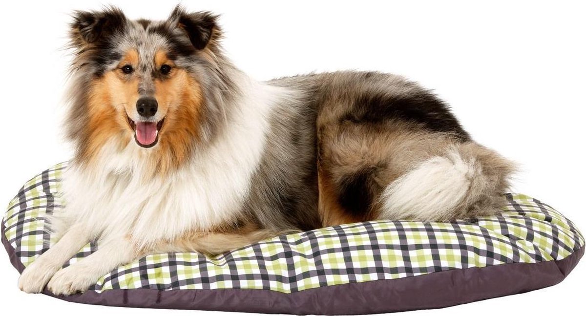Dog cush. ov. melrose 80x62x8 cm blue-green 30°c washable