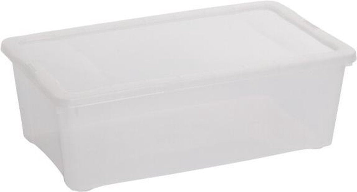 Transparante opbergbox - 25 L - set van 2 stuks