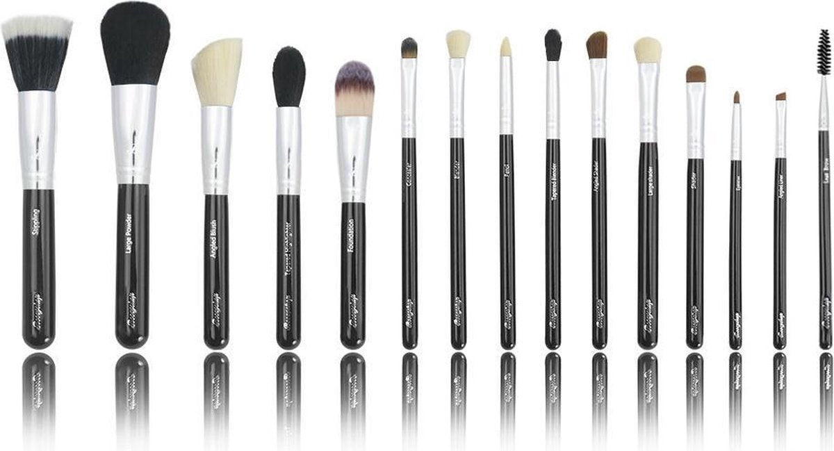 Boozyshop BoozyBrush 15 pc Classic Starter Set