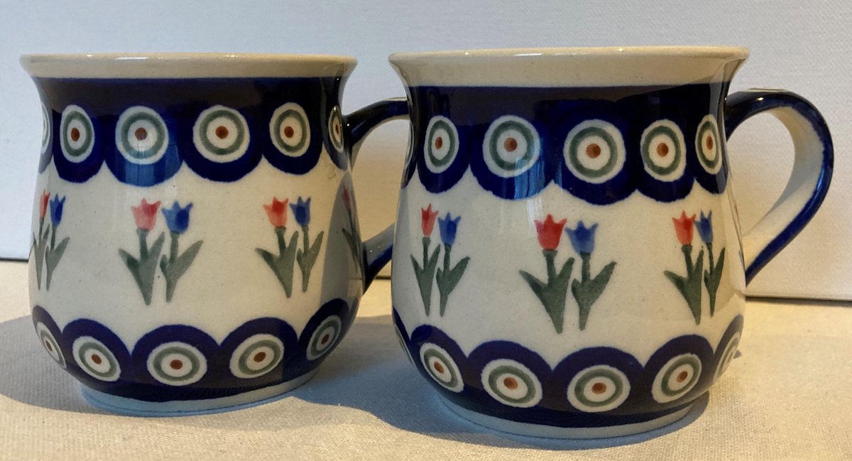 Bunzlau 2 x bekers  tulpmodel 250 ml met tulpen