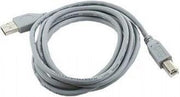 CablExpert CCP-USB2-AMBM-6G - Printerkabel