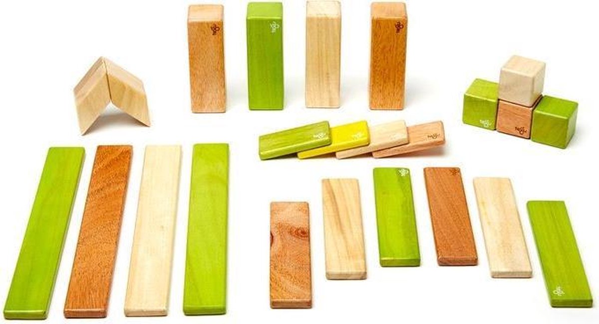 24 Piece Tegu Magnetic Wooden Block Set Jungle