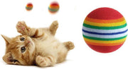 Kattenbenodigdheden 3