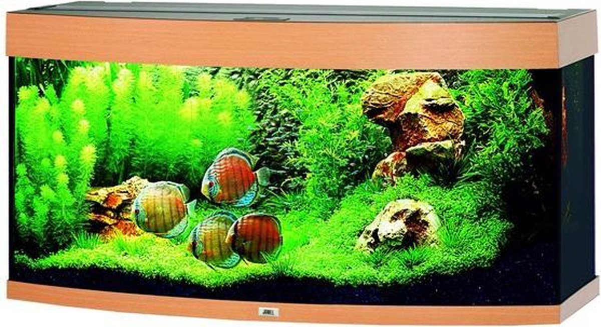 Juwel Vision Aquarium - 121x62x46 cm - 260L - Beuken